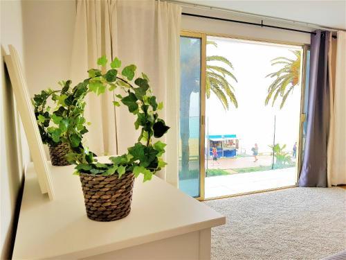 Lloret Paradise Apartments