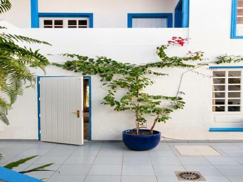 Bungalow Pasito Blanco Porto Mare 44