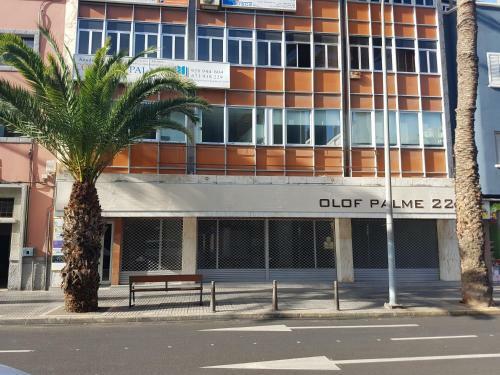 Apartamento Suites Garden Loft El Greco