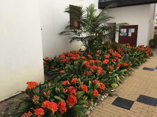 Apartamento Venavera Playa Jardines L2-2a