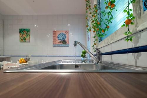 Apartment Florina