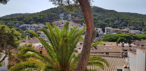 Apartamento Tamariu 3