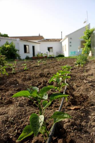 Agroturismo Casa Baraka