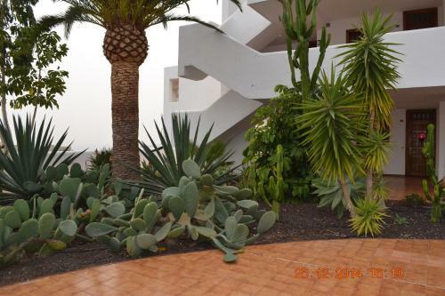 Apartamento Parque Royale