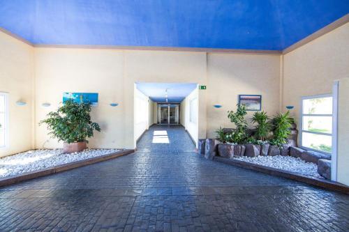 Apartamento Port Canig� 344