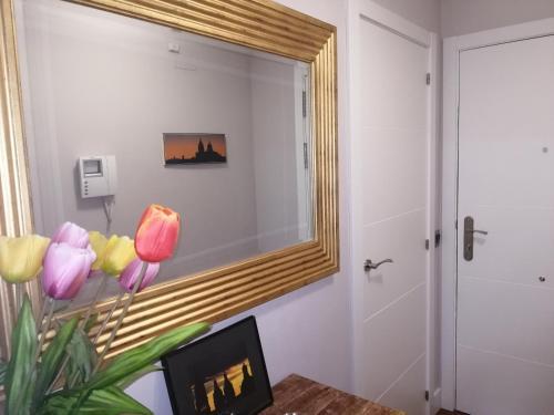 Salamanca Centro Apartamentos
