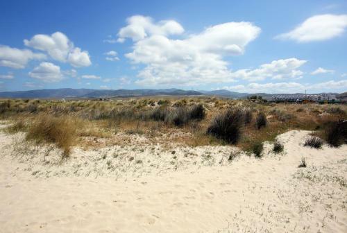 Apartamento Surfing Tarifa 23