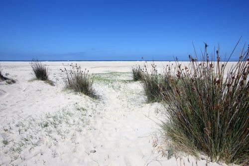 Apartamento Surfing Tarifa 23
