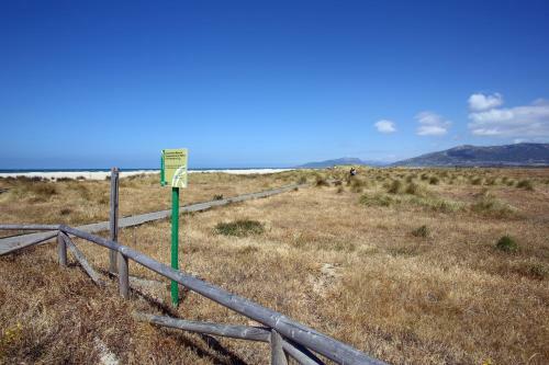 Apartamento Surfing Tarifa 23