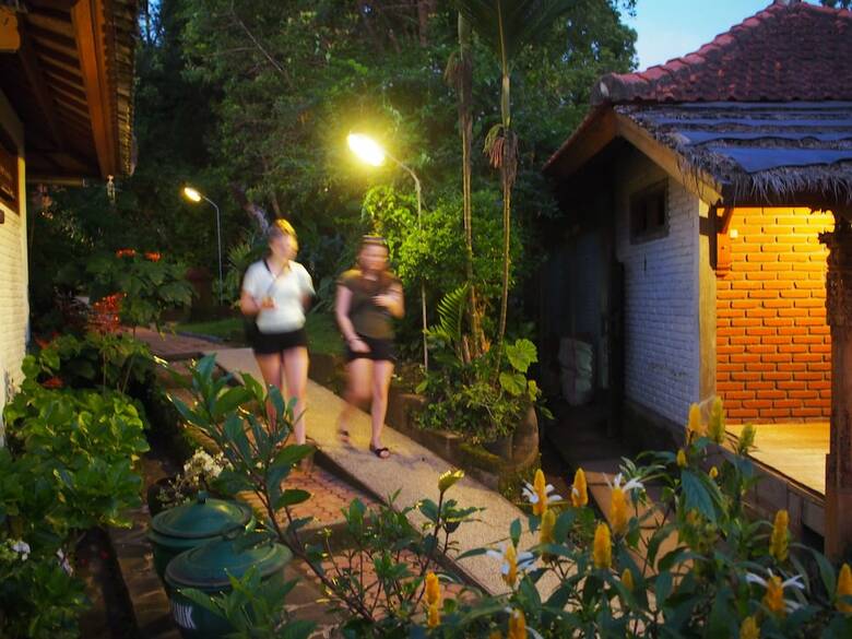 Hotel Puri Lumbung Cottages