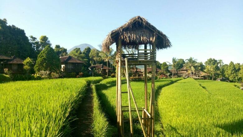 Hotel Puri Lumbung Cottages