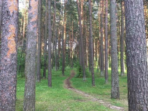 Hotel Pirita Beach Apartments & Spa