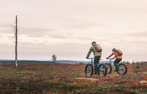 Lapland Hotels Sirkant�hti