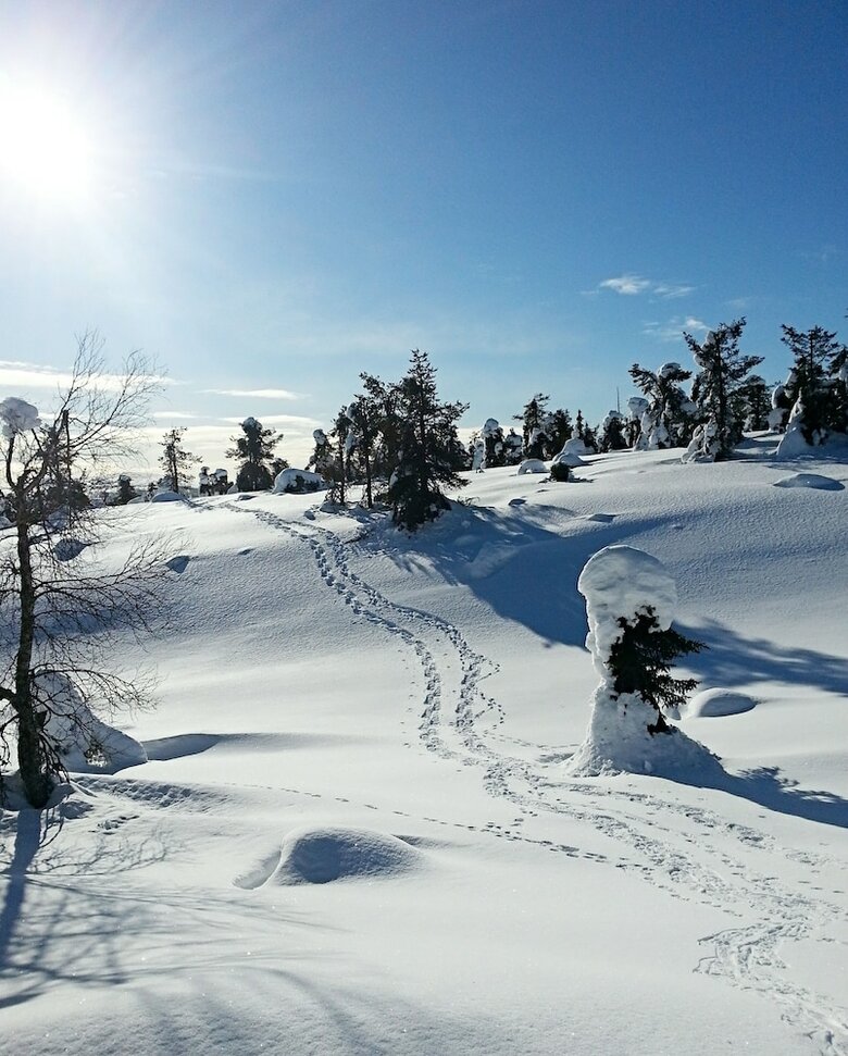 Hotel Holiday Resort Seita