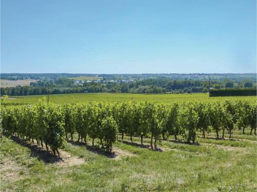 Holiday Home St Jean Des Mauvrets M-923