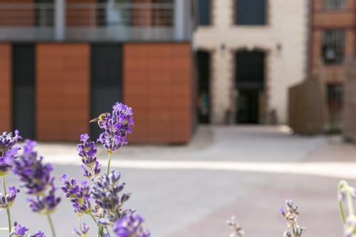 Apartamento Zenao Appart'hotel