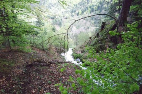 Chalet Hertzland
