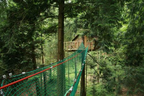 Bed & Breakfast Insolite Dans Les Arbres Les Ormes, Epiniac