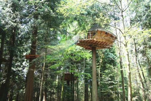 Bed & Breakfast Insolite Dans Les Arbres Les Ormes, Epiniac