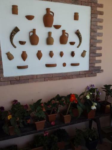 Hostal Guest House Medea