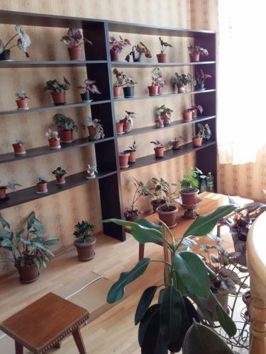 Hostal Guest House Medea