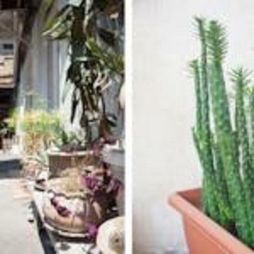 Sololaki Sweet Home Apartments