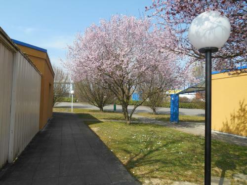 Hotel H�tel Charme En M�connais