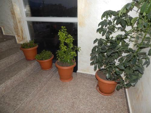 Hostal Hotel Batumi Inn