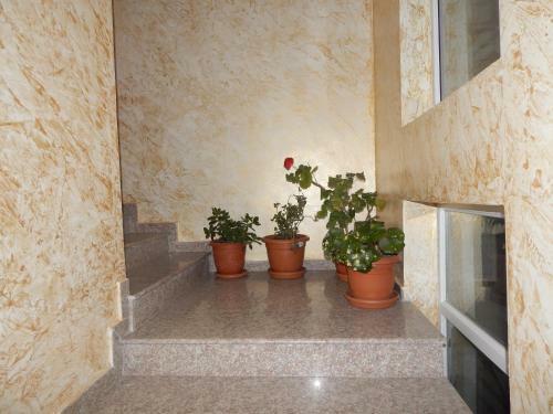 Hostal Hotel Batumi Inn