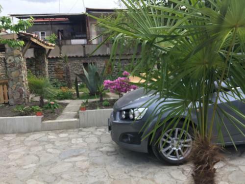 Bed & Breakfast Nika's Guest House