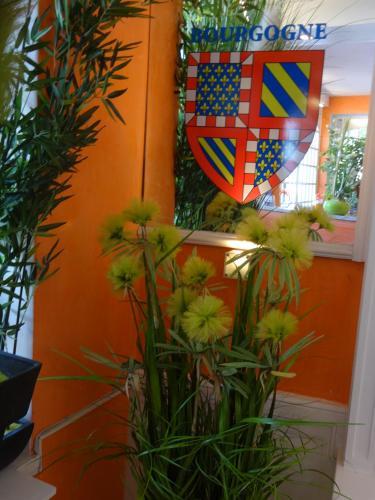Hotel H�tel Des Arcades