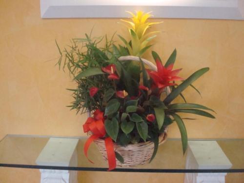 Hotel H�tel Des Arcades