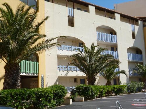 Apartment Palm Beach.2