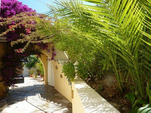 Apartamentos R�sidence Casa R�gina