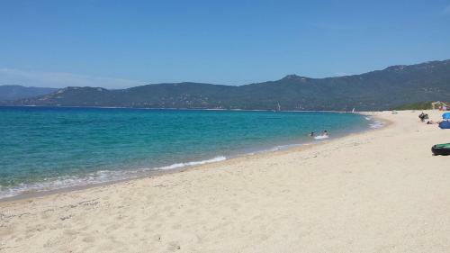 Apartamentos R�sidence Casa R�gina