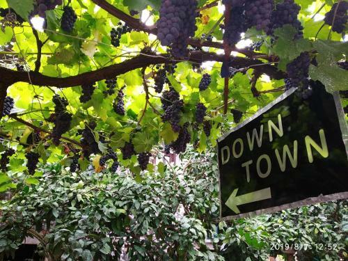 Hostal Downtown Guest House