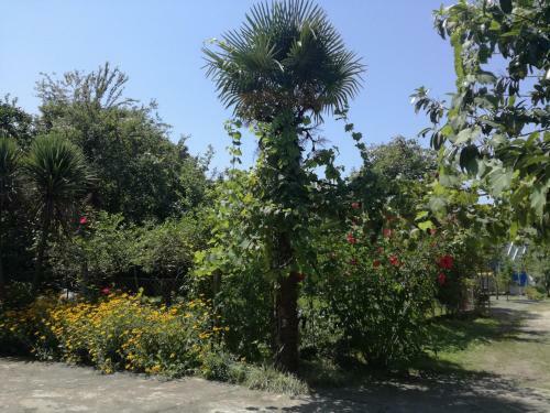 Hostal Guest House Makhinjauri