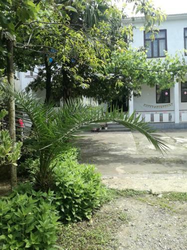 Hostal Guest House Makhinjauri