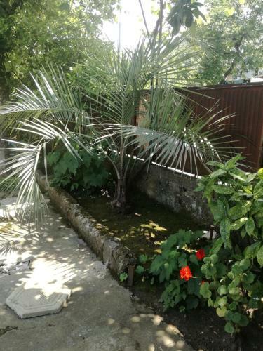 Hostal Guest House Makhinjauri