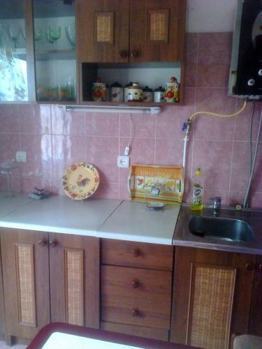 H. Abashidze Apartment