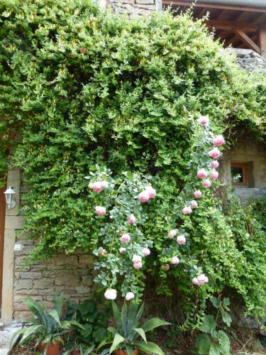 Bed & Breakfast Les Terrasses De L'abbaye