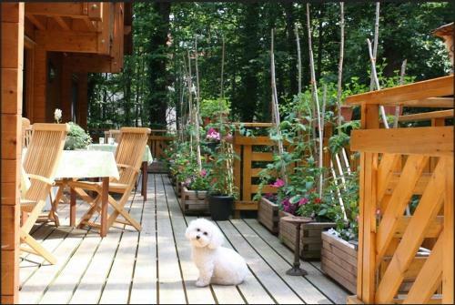 Hotel H�tel La Maison D'h�te