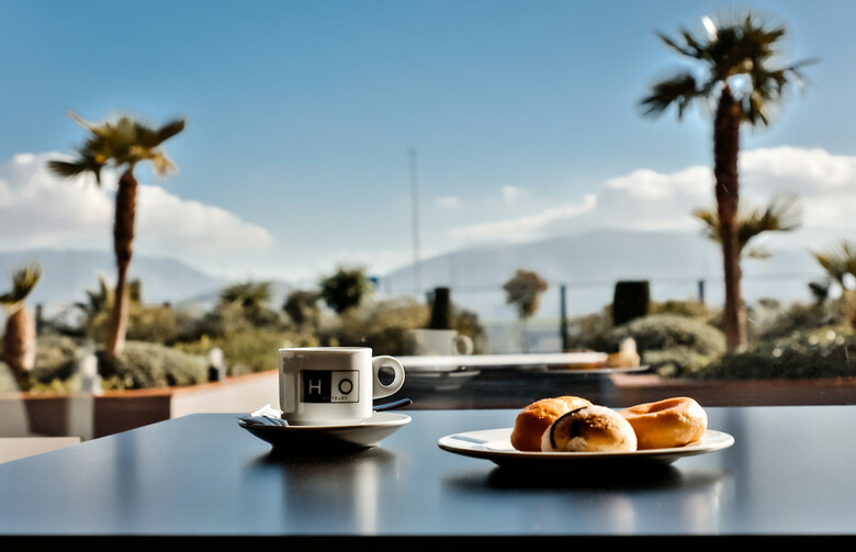 Hotel Ho Ciudad de Ja�n