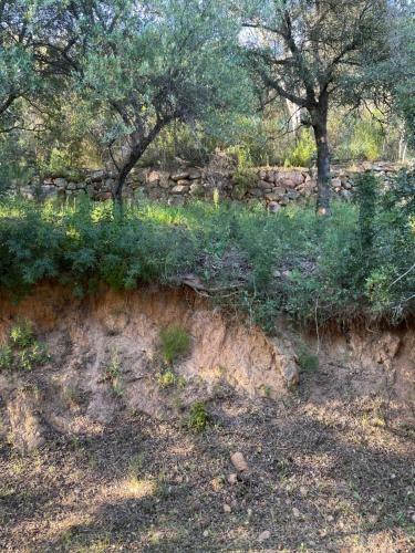 Logis Hotel Le Lonca