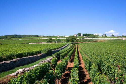 Hotel Premi�re Classe Beaune