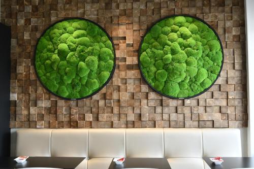 In Situ Hotel Le Chat Botte