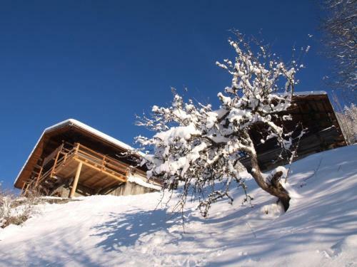 Chalet Route Forestiere Du Plan Du Mont