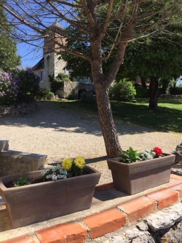 Bed & Breakfast Bergerie De Lagarrigue