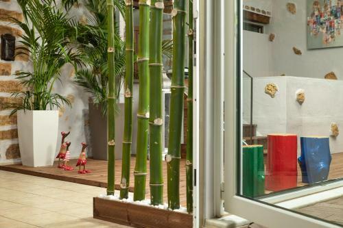 Villa Splantzia - Heated Pool - Garden - 2 Min Harbor