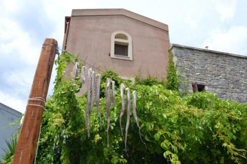 Agroturismo Chara House